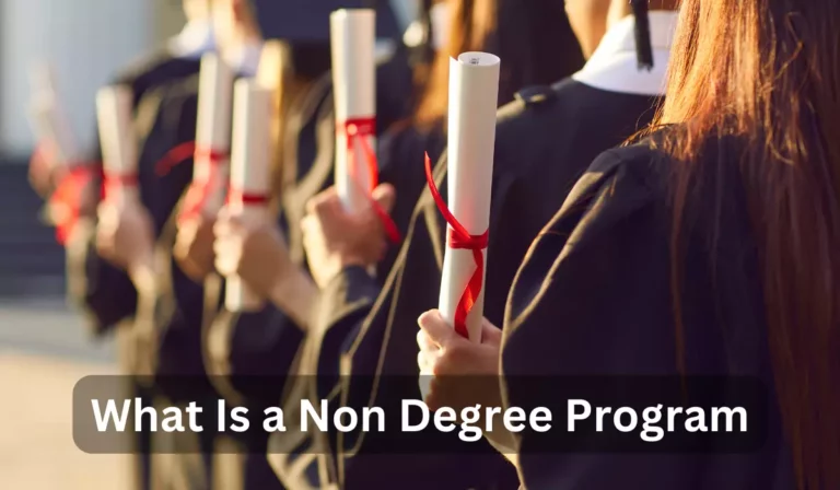 What Is a Non Degree Program