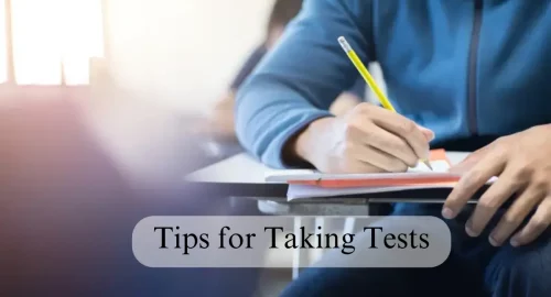 5 Best Adult Tutoring Services To Elevate Your Skills