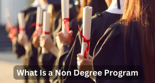 What Is a Non-Degree Program? Beyond Traditional Education in 2024